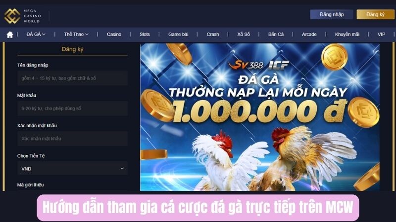 Hướng dẫn tham gia cá cược đá gà trực tiếp trên MCW