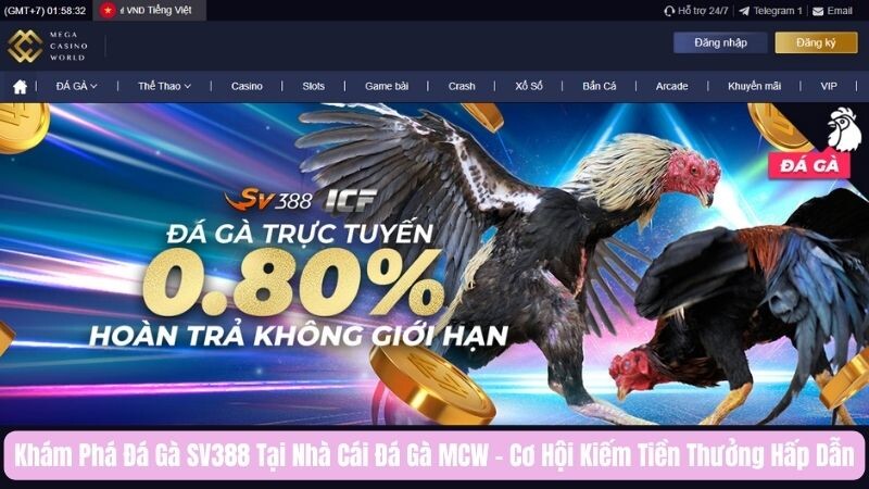 Tổng quan về đá gà sv388 tại MCW