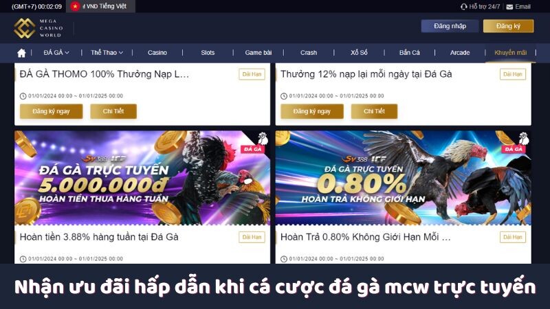 Nhận ưu đãi hấp dẫn khi cá cược đá gà mcw trực tuyến