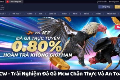 MCW – Trải Nghiệm Đá Gà Mcw Chân Thực Và An Toàn