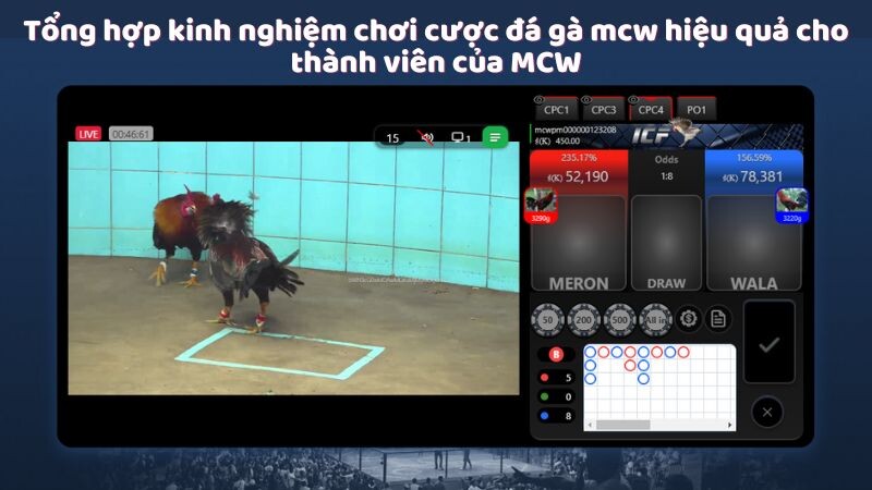 Tổng hợp kinh nghiệm chơi cược đá gà mcw hiệu quả cho thành viên của MCW