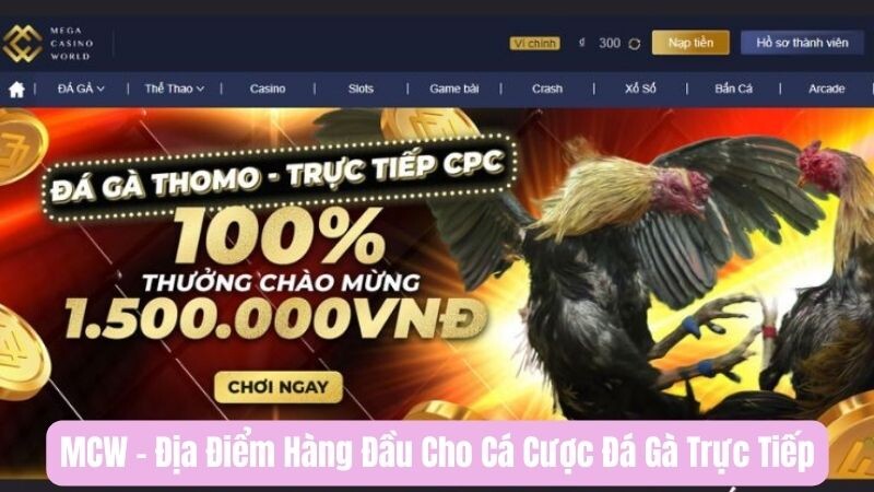 Giới thiệu MCW