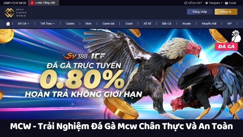 Đánh giá khách quan về mức độ an toàn của người chơi cá cược đá gà mcw trực tuyến